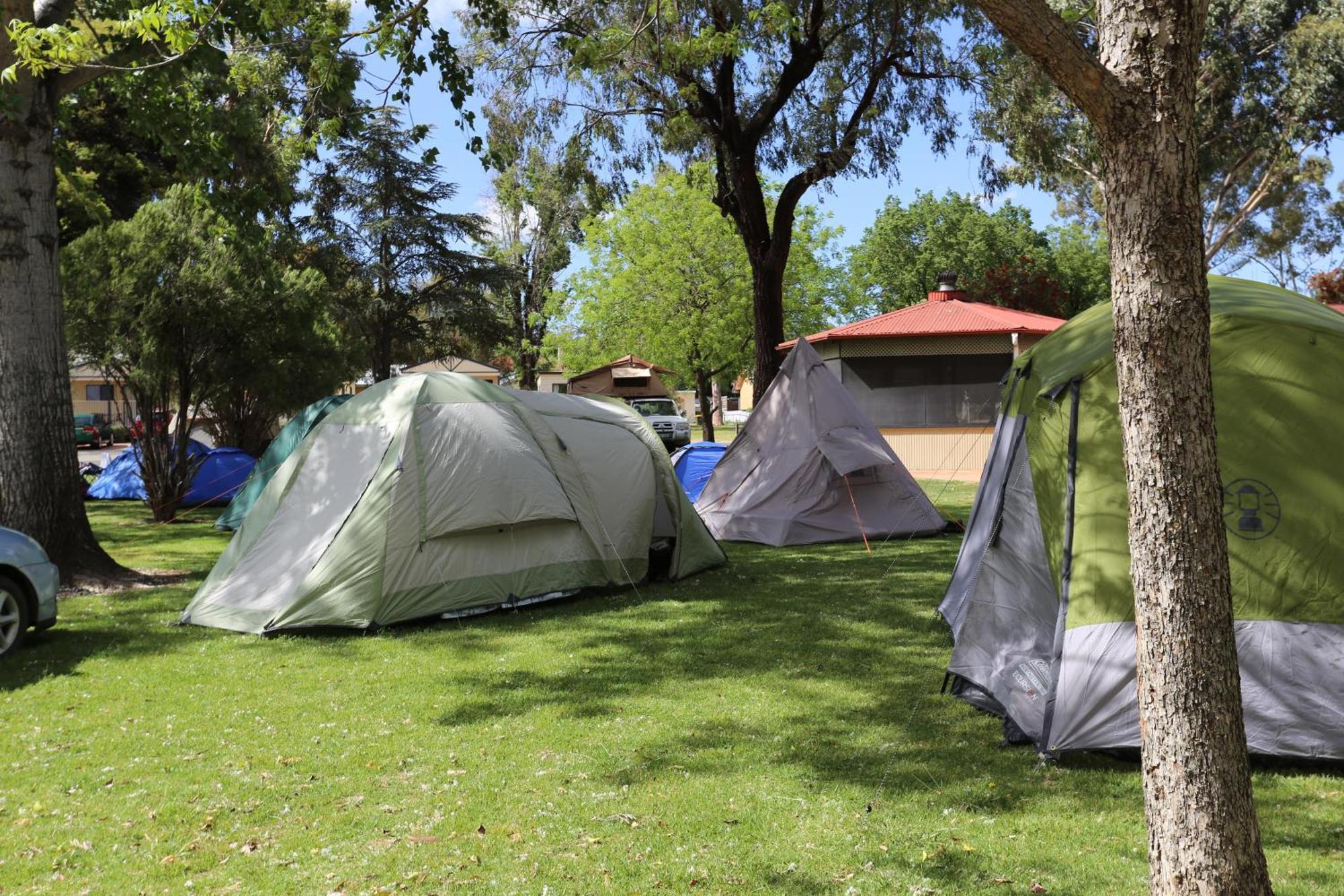 Young Caravan And Tourist Park Exterior photo